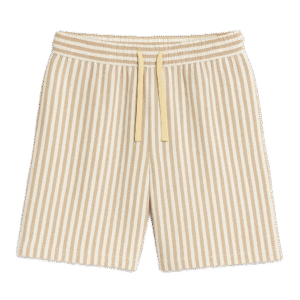 Brown Striped Shorts