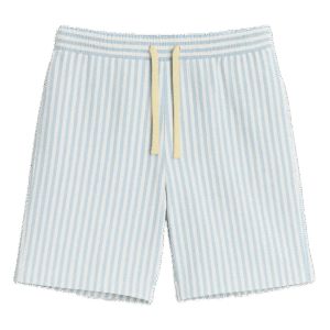 Blue Striped Shorts
